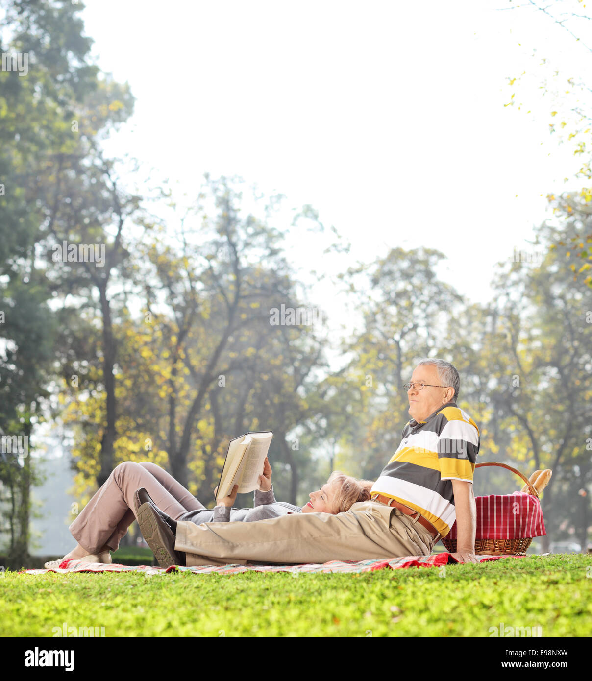 Älteres Paar mit einem Picknick im Park an einem schönen sonnigen Tag erschossen mit einer Tilt und Shift-Objektiv Stockfoto