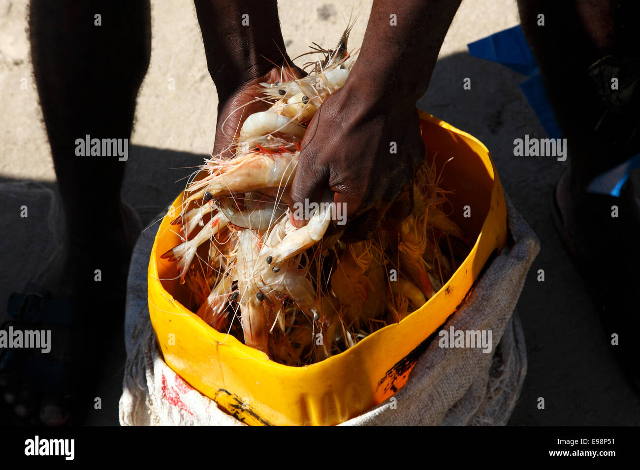 Fischer verkaufen Garnelen und Meeresfrüchte der Stadt Strand an der Mündung des Rio Pungwe und den Ozean. Beira, Mosambik.  (Ph Stockfoto