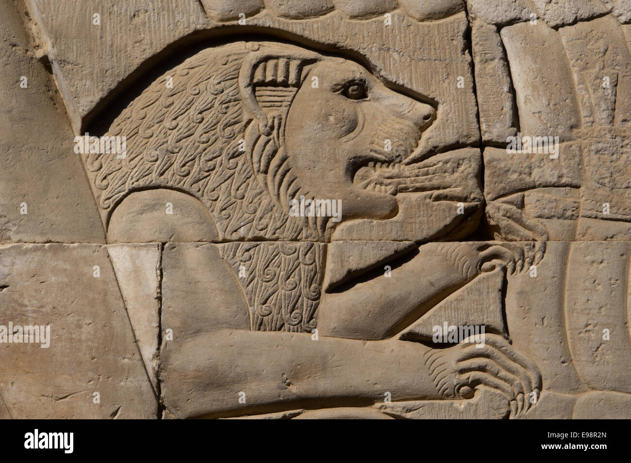 Ägyptische Kunst. Tempel von Kom Ombo. Dynastie der Ptolemäer. 2. Jh. v. Chr. Löwen eine Hand zu essen. Relief. Wand. Stockfoto