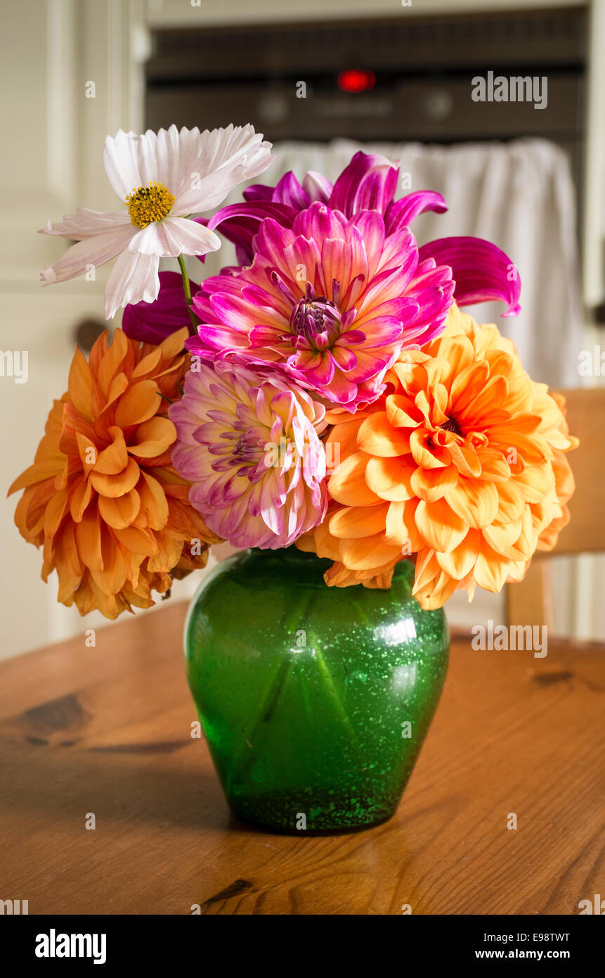Grüne Vase mit Schnittblume Dahlien und Kosmos im Innenbereich Stockfoto