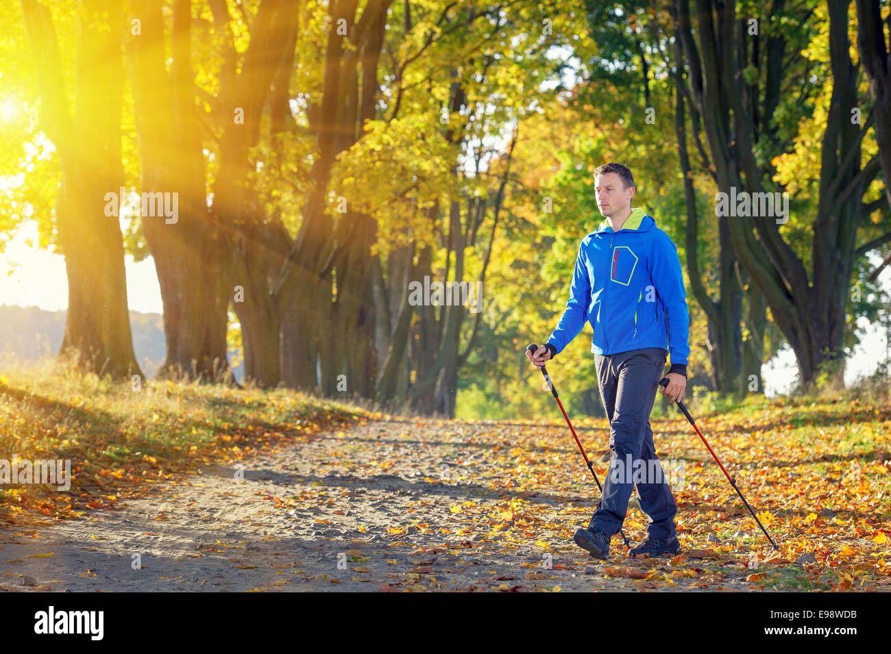 Mann, der Nordic-walking im park Stockfoto