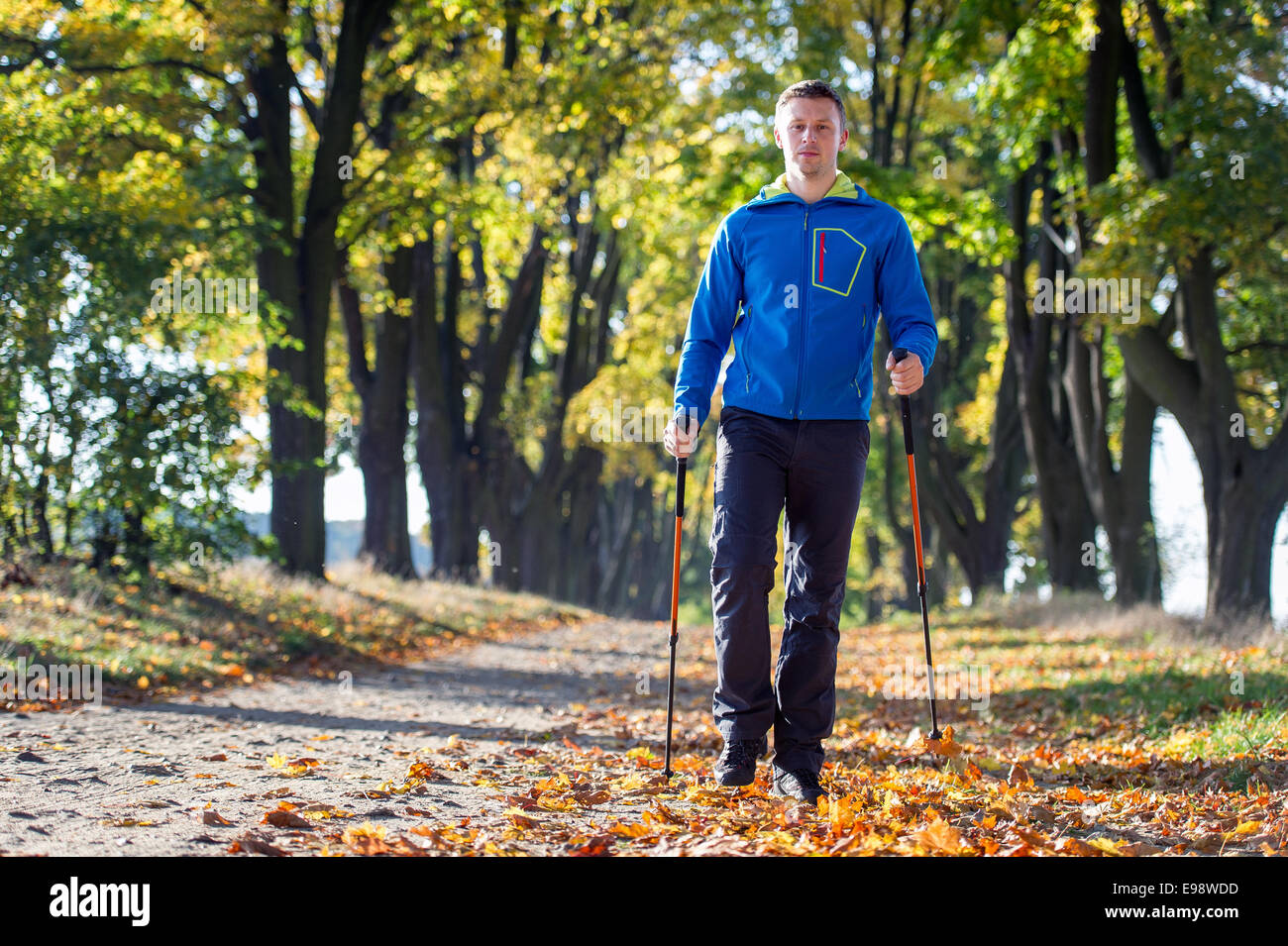 Mann, der Nordic-walking im park Stockfoto