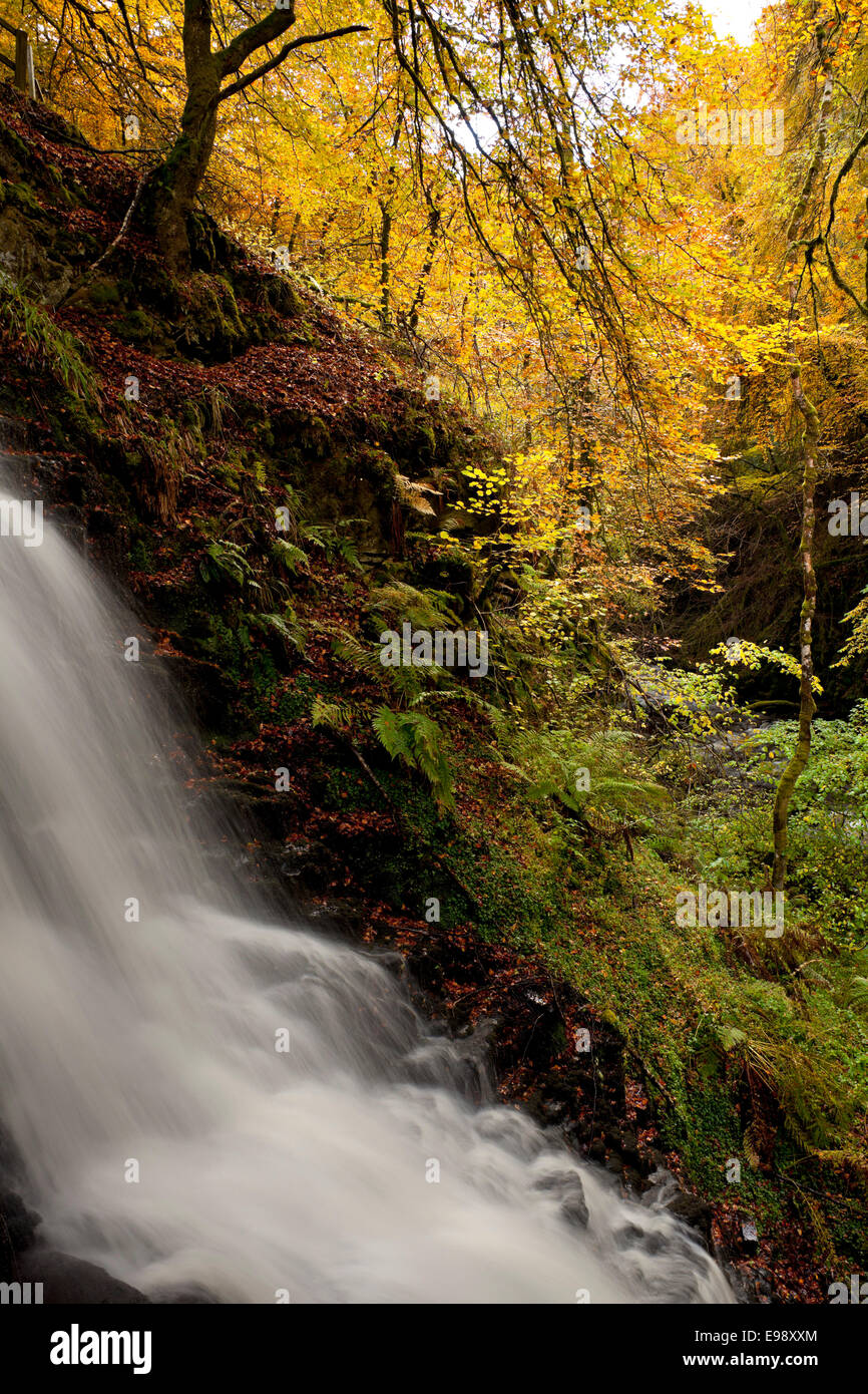 Herbst Fluss Aberfeldy Birks Perth Kinross Perthshire Schottland Stockfoto