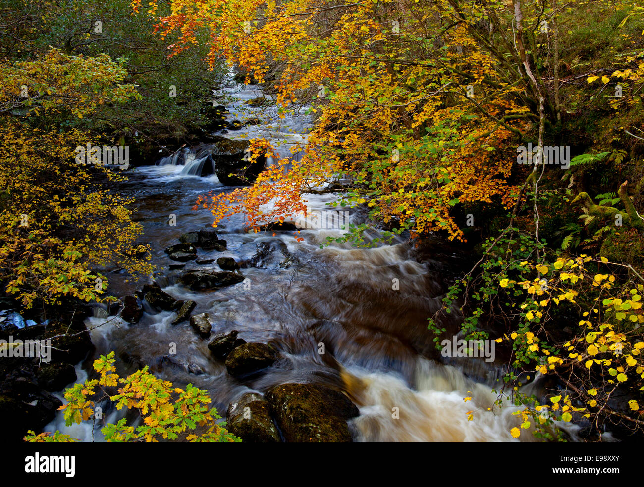 Herbst Fluss Aberfeldy Birks Perth Kinross Perthshire Schottland Stockfoto