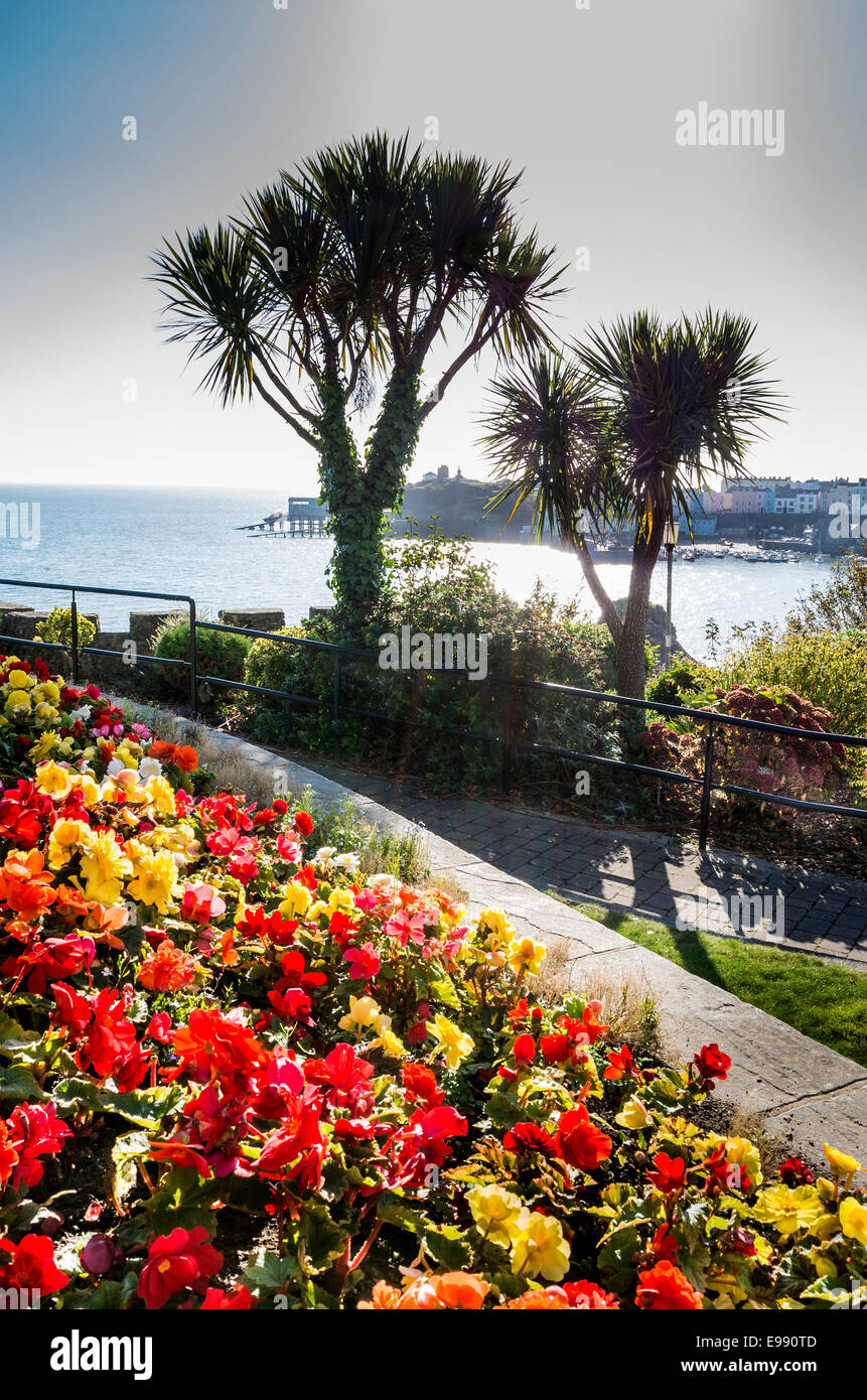 Am Meer Garten am Meer, in Tenby Dyfed UK Stockfoto