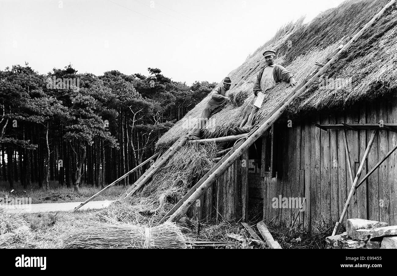 Ein Foto von Falkenberg, Halland, Schweden, zeigt seine historische Architektur und Landschaft. Das Bild ist Teil eines Archivs des schwedischen Nationaldenkmalamtes, das die kulturelle Bedeutung der Region hervorhebt. Stockfoto