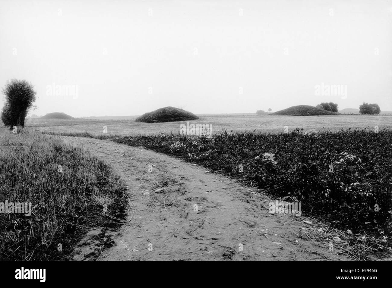 Ein Foto der Steglarp-Region in Skåne, Schweden, das die malerische Landschaft, den Pfad und den Himmel zeigt. Das Bild zeigt die natürliche Schönheit und den Erhalt des schwedischen Nationaldenkmals. Stockfoto
