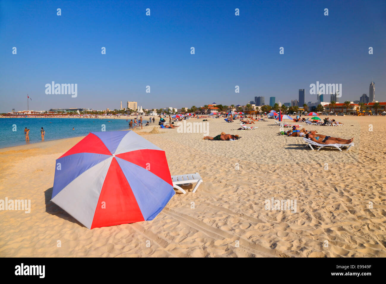 Kamel am Jumeirah Beach, Dubai Stockfoto