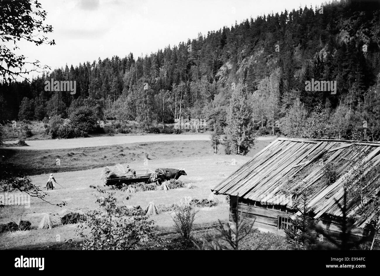 Dieses Foto zeigt Skäleklint in Närke, Schweden. Die Stätte ist von der schwedischen Staatlichen Denkmalbehörde (Riksantikvarieämbetet) dokumentiert und spiegelt ihre kulturelle und historische Bedeutung als Teil des schwedischen Kulturerbes wider. Stockfoto