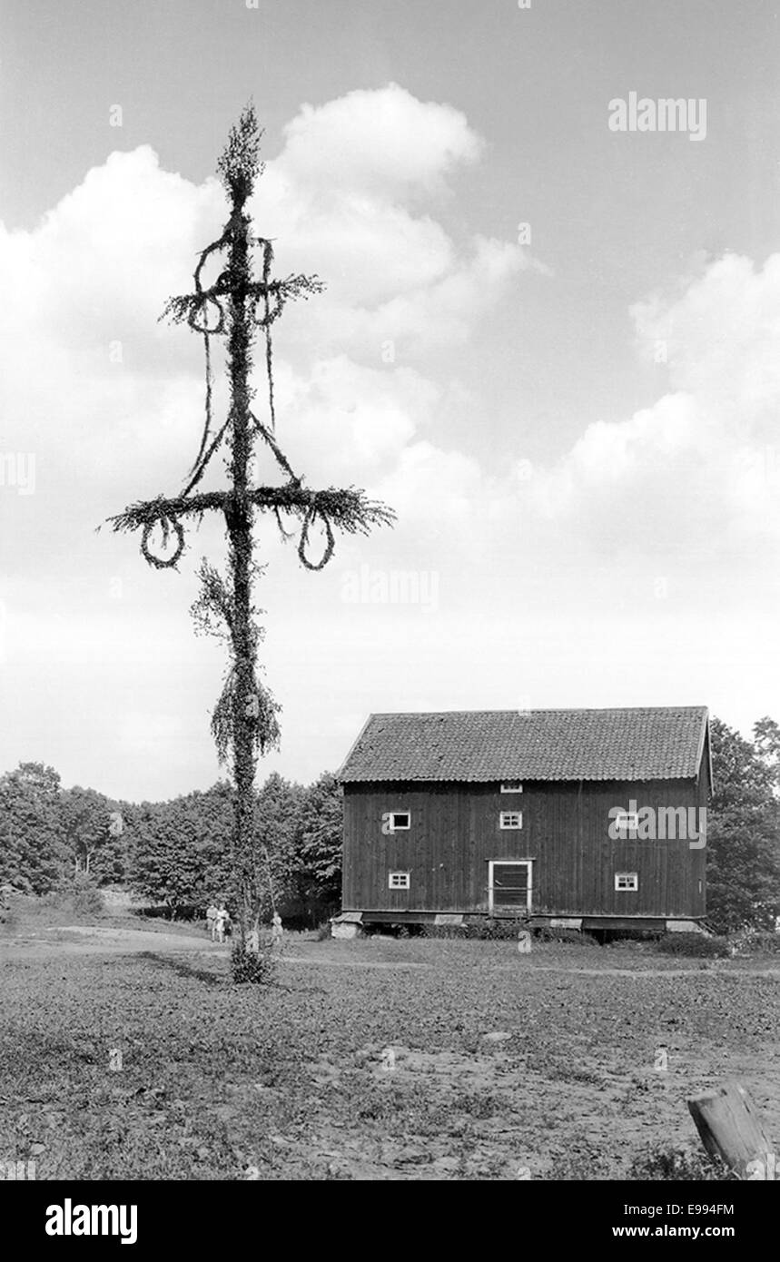 Dieses Foto zeigt die Gegend von Höjentorp in Västergötland, Schweden und zeigt seine historische Architektur und die umliegende Landschaft. Das schwedische nationale Denkmalamt bietet Einblicke in dieses Kulturerbe. Stockfoto