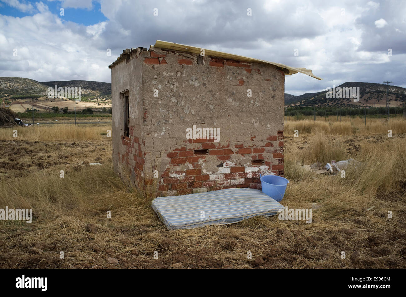 Temporäre Einwanderer aus Rumänien gekommen, um moralische de Calatrava, Ciudad Real, Spanien, in der Weinlese zu arbeiten. Stockfoto