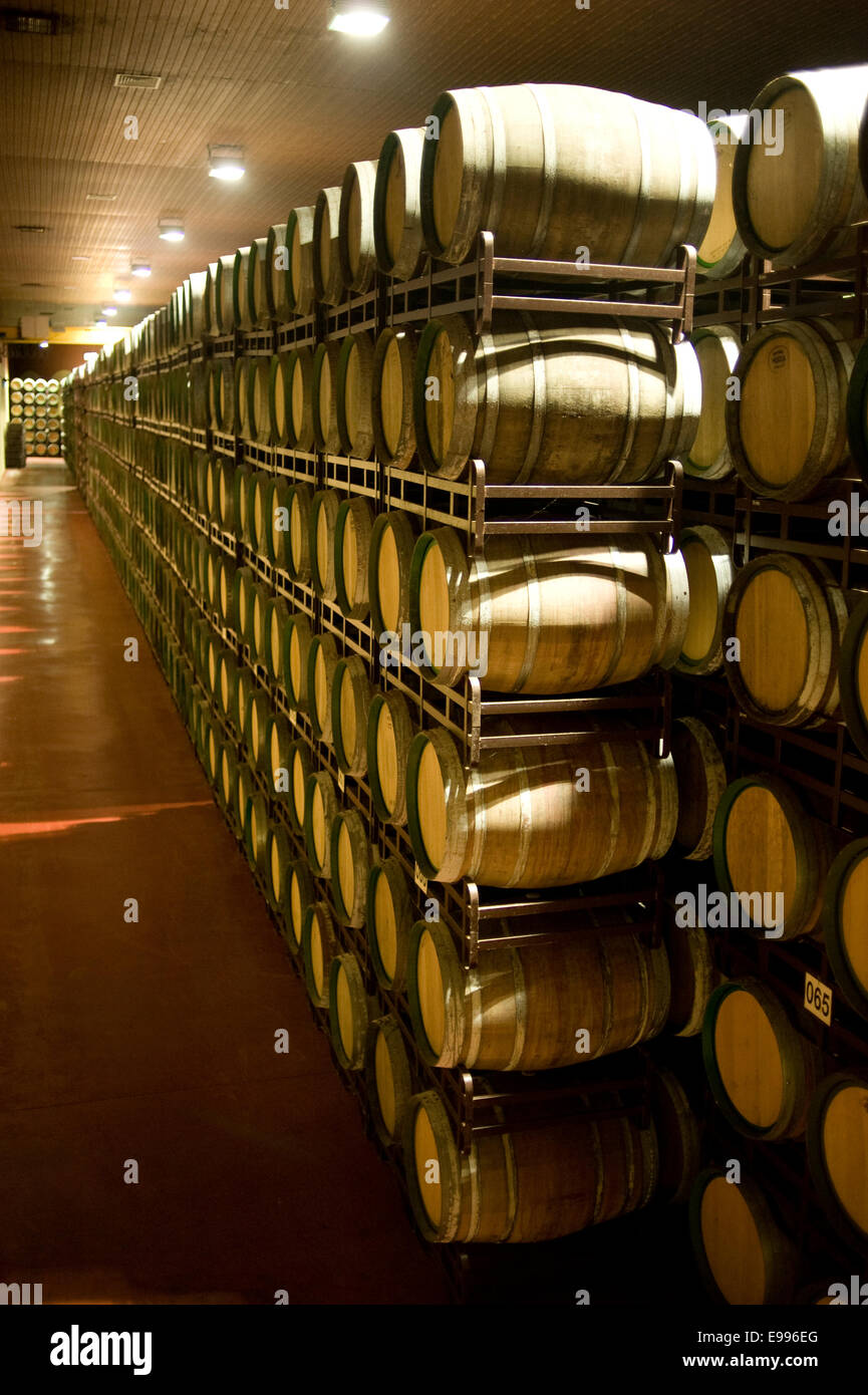 Bodegas Felix Solis Valdepenas Bodega Wein Weingut Ciudad Real Castilla La Mancha Vino Weinkeller Fass Stockfotografie Alamy
