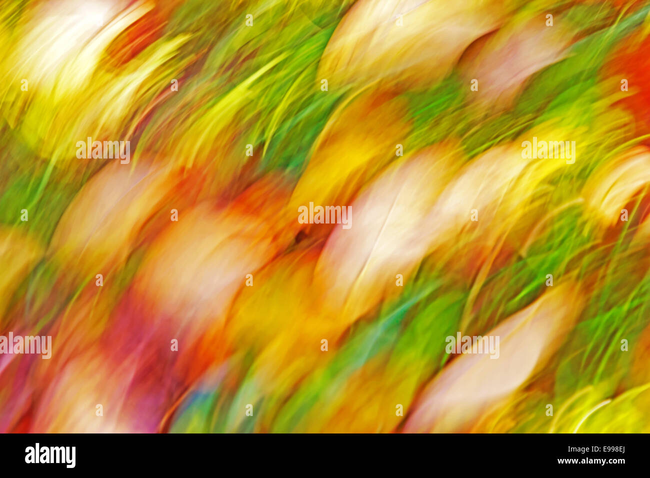 Bewegung verwischt abstrakten Hintergrund, Pastell Farben des Herbstes. Stockfoto