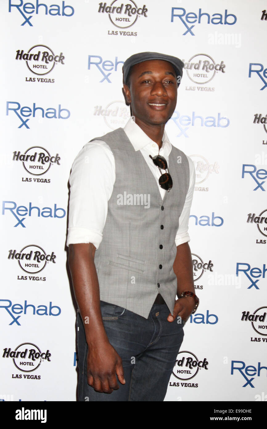 Singer, Songwriter ALOE BLACC führt auf Reha, Las Vegas Original Dayclub, innen hart ROck Hotel & Casino In Las Vegas, NV am 19.04.14 mit: Aloe Blacc wo: Las Vegas, Nevada, Vereinigte Staaten, wann: 20. April 2014 Stockfoto