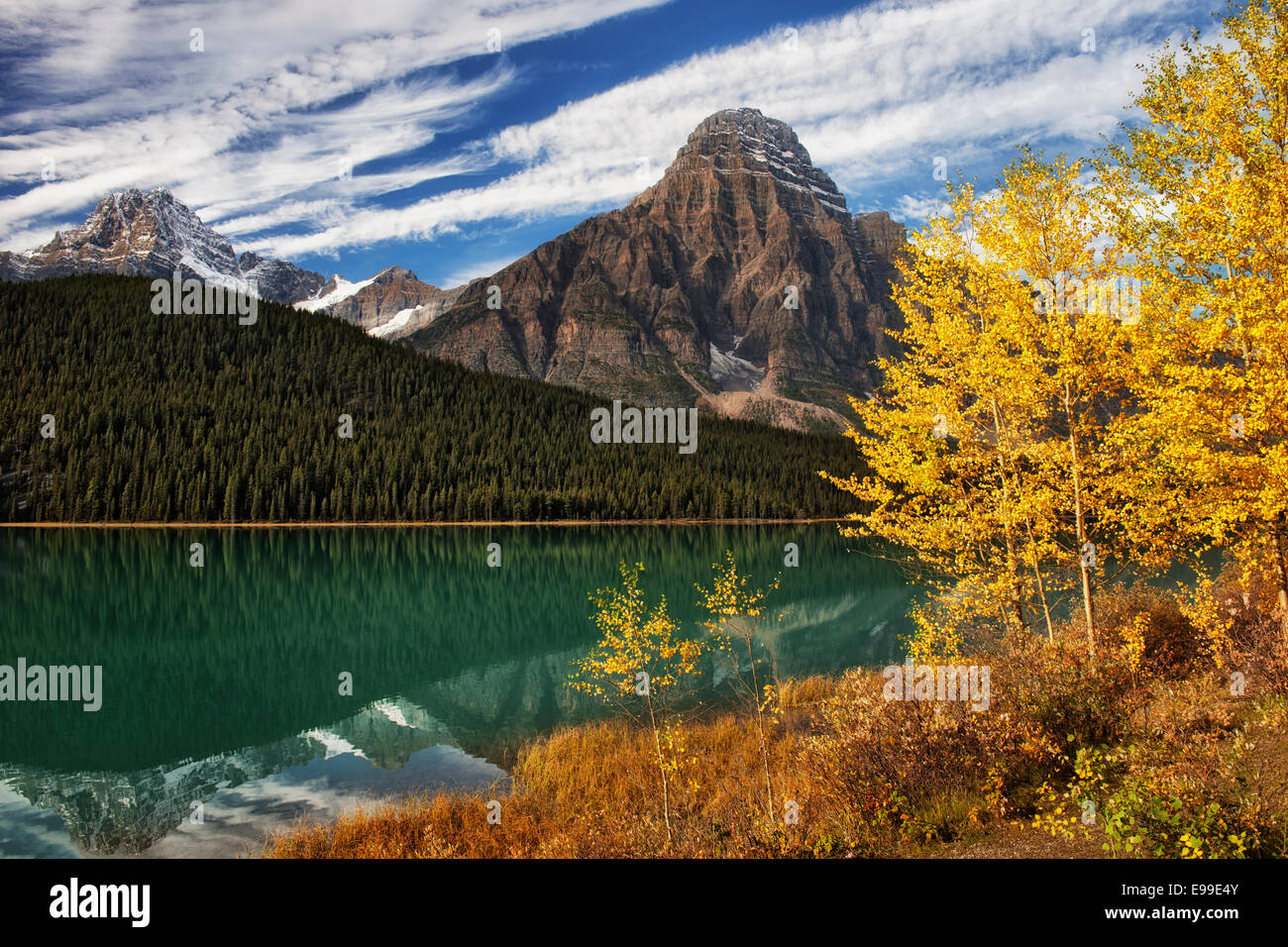 Herbst gold Aspen Wasservögel See mit Howse Peak und Mt Chephren in Alberta die kanadischen Rockies und Banff Nationalpark entlang. Stockfoto
