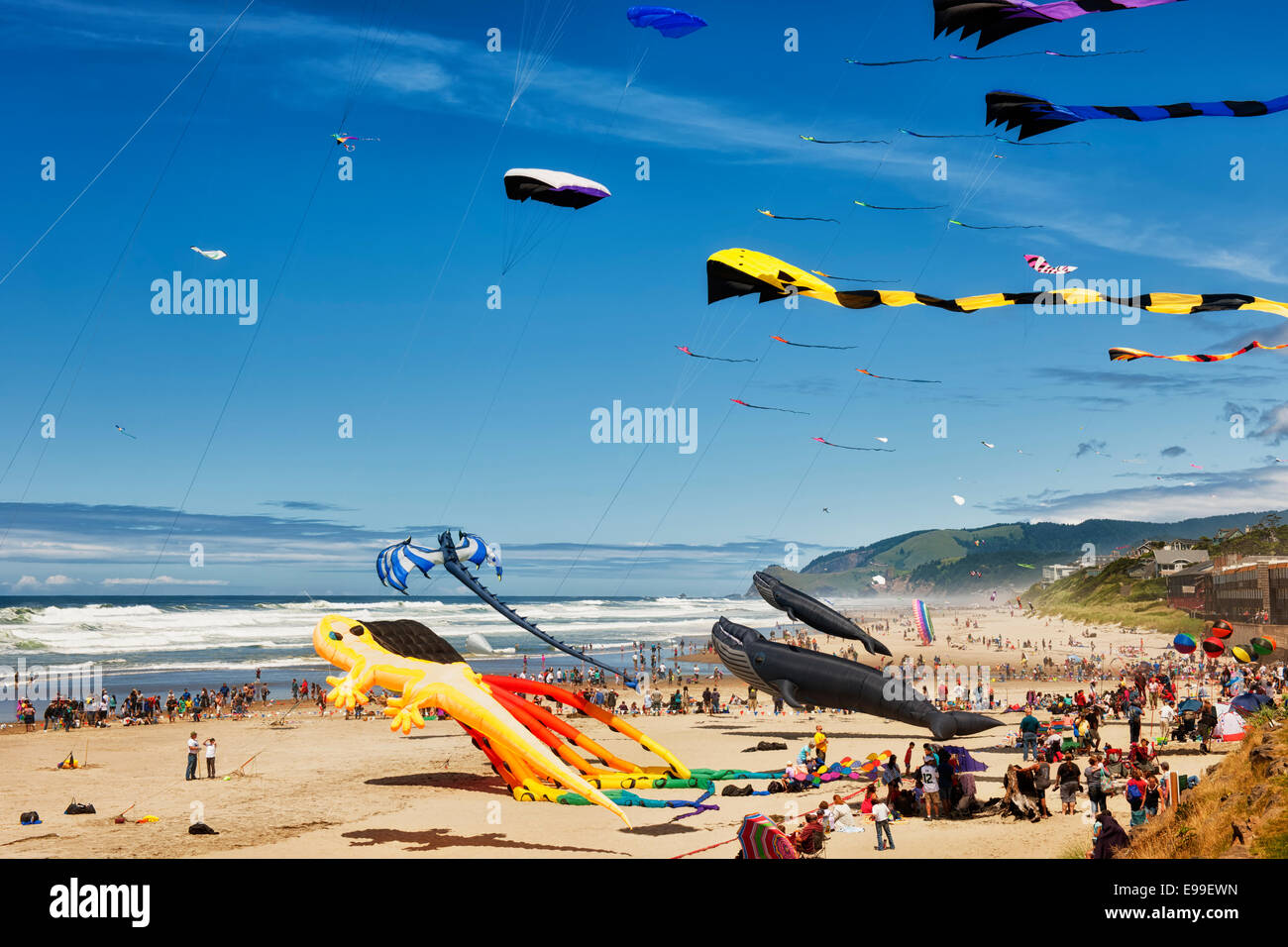 Drachen in allen Größen und Formen fliegen am jährlichen Lincoln City Kite Festival am zentralen Küste Oregons zweimal jährlich statt. Stockfoto