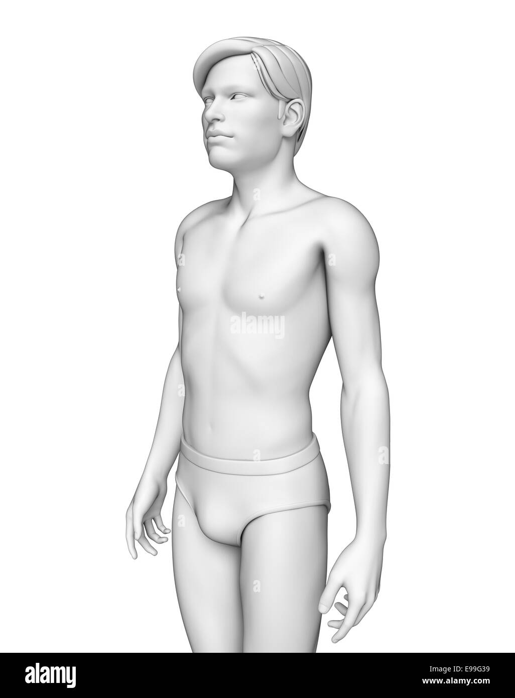 Illustration des menschlichen Körpers-Anatomie Stockfoto