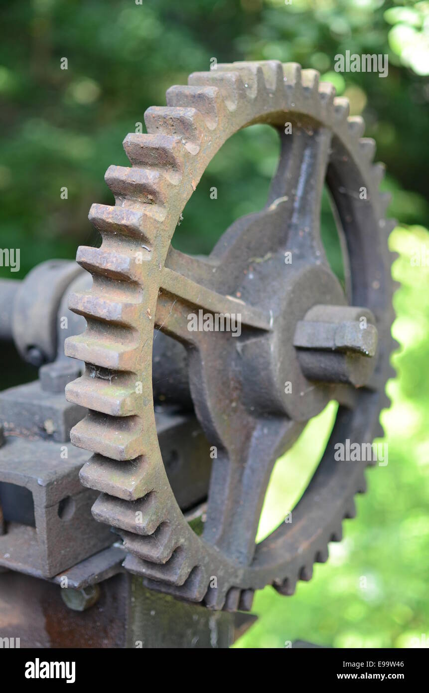 Zahnrad Stockfoto