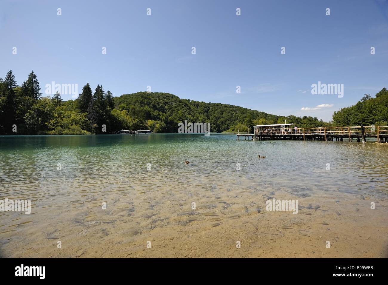 Plitvicer See (Kroatien) Stockfoto