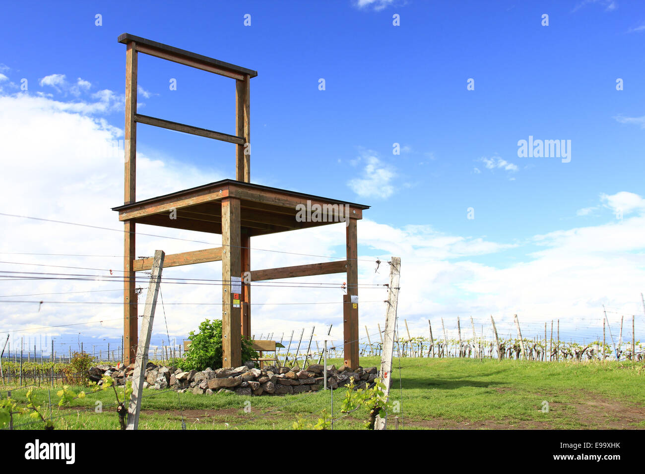 Weinbauregion Kaiserstuhl, Deutschland Stockfoto