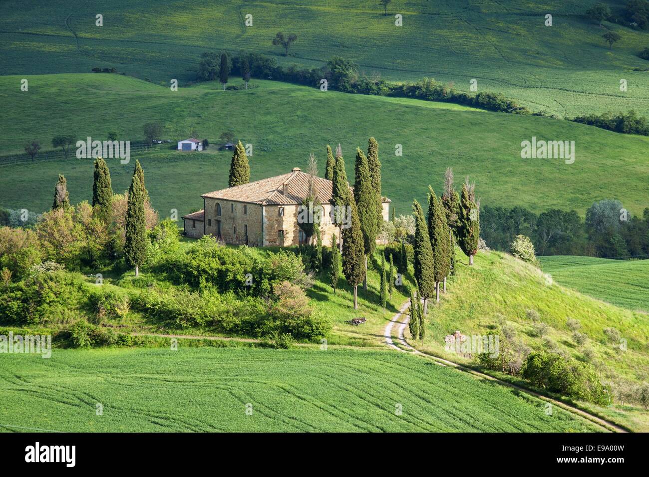Malerische Aussicht auf typische Toskana Landschaft Stockfoto