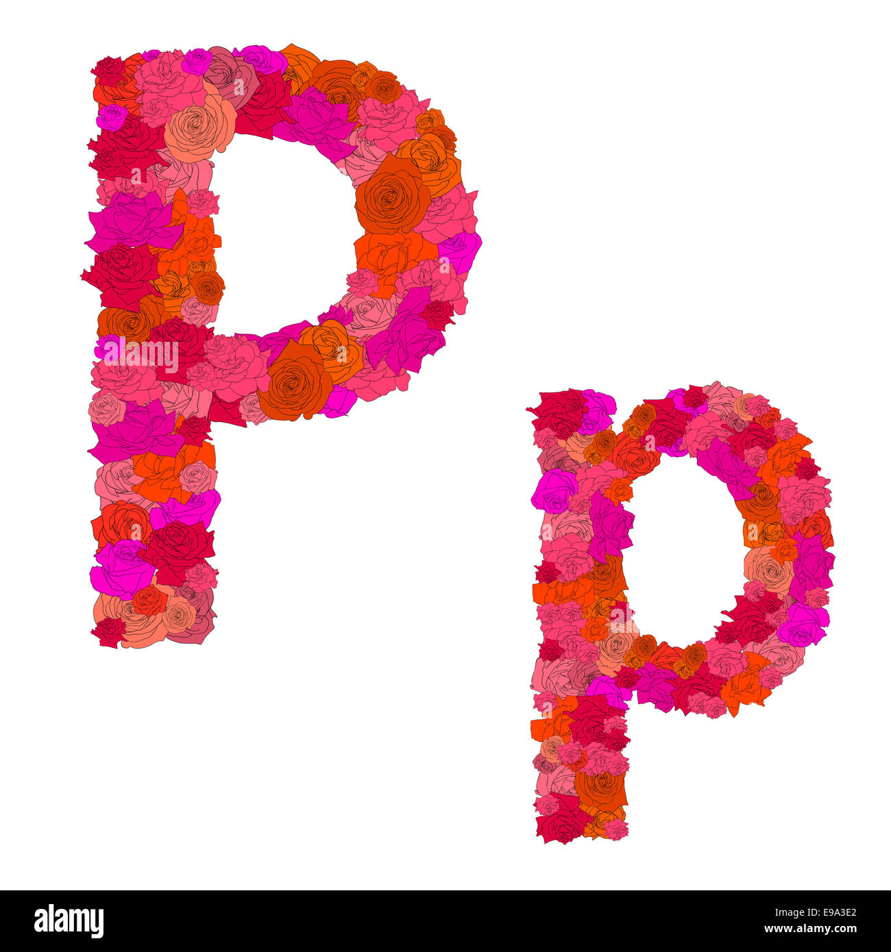 Blume-Alphabet aus roten Rosen, Zeichen P -p Stockfoto