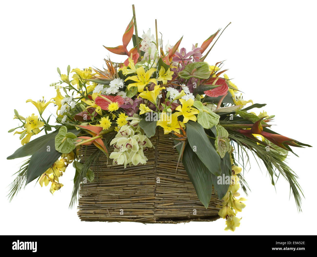 Blumen in Reed Flowerpot Ausschnitt Stockfoto