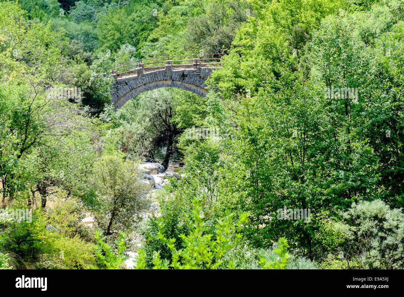 Eine traditionelle steinerne Brücke Zagori, das Pindosgebirge, Epirus, Griechenland. Stockfoto