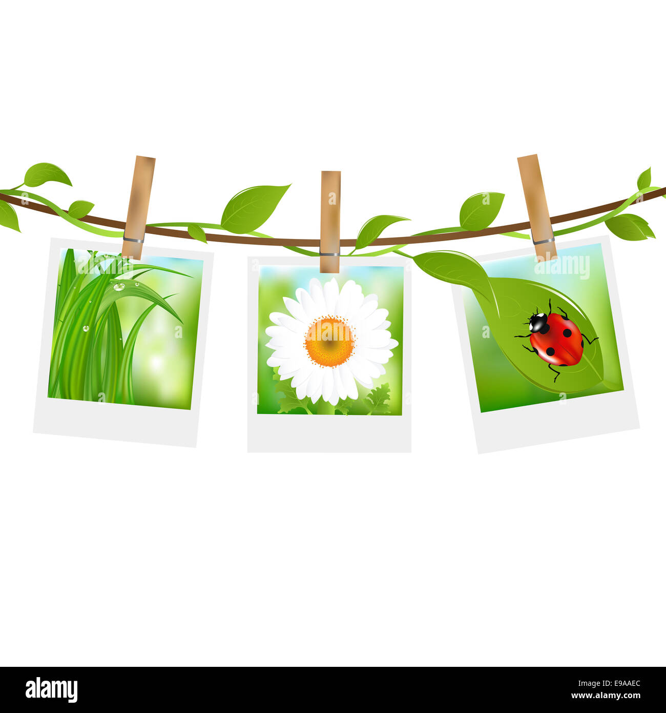 Sommer-Fotos mit Wäscheklammern Stockfoto