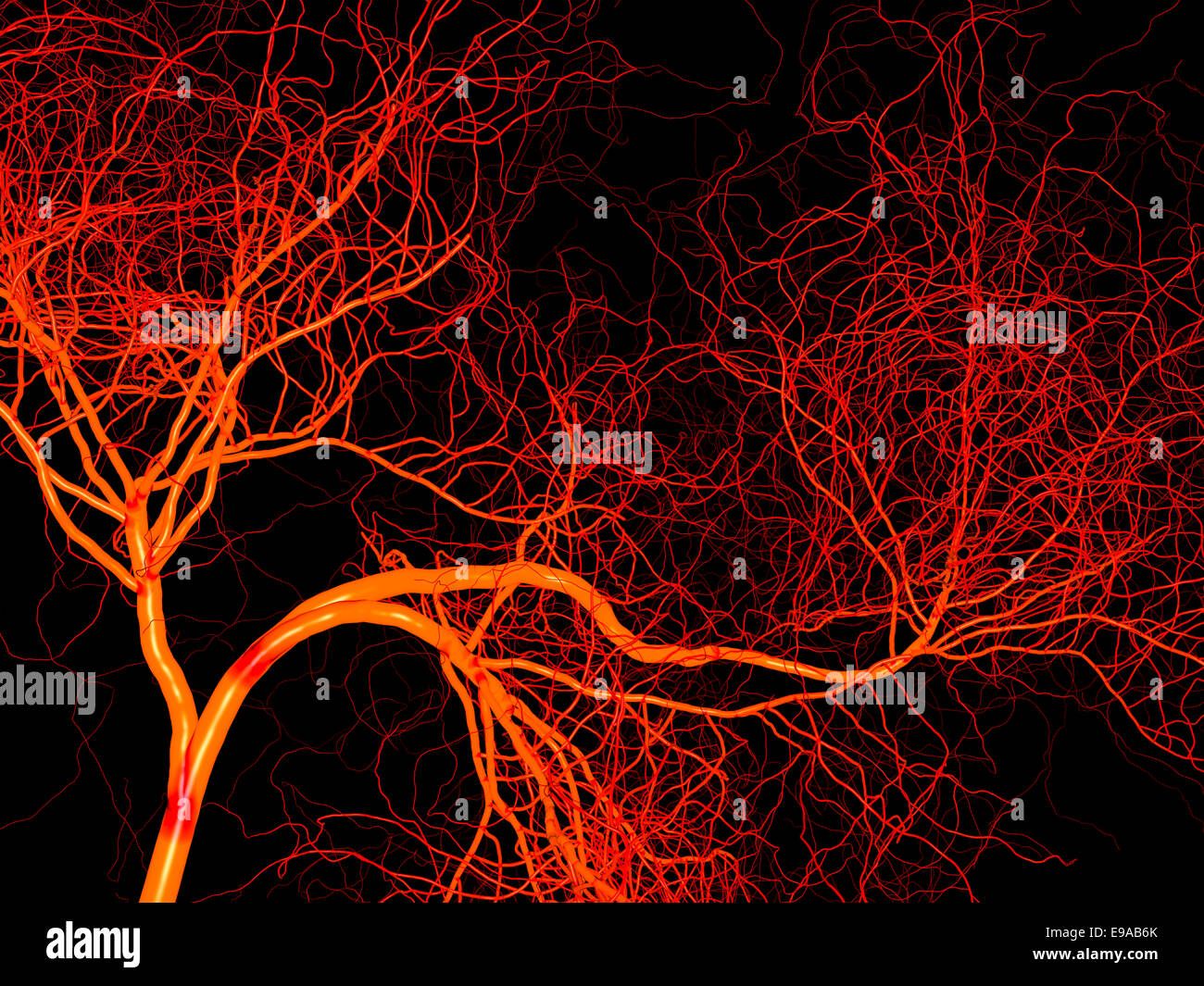 Nervöse oder Blut System der Arterie und Vene. Medizinische 3d illustration Stockfoto