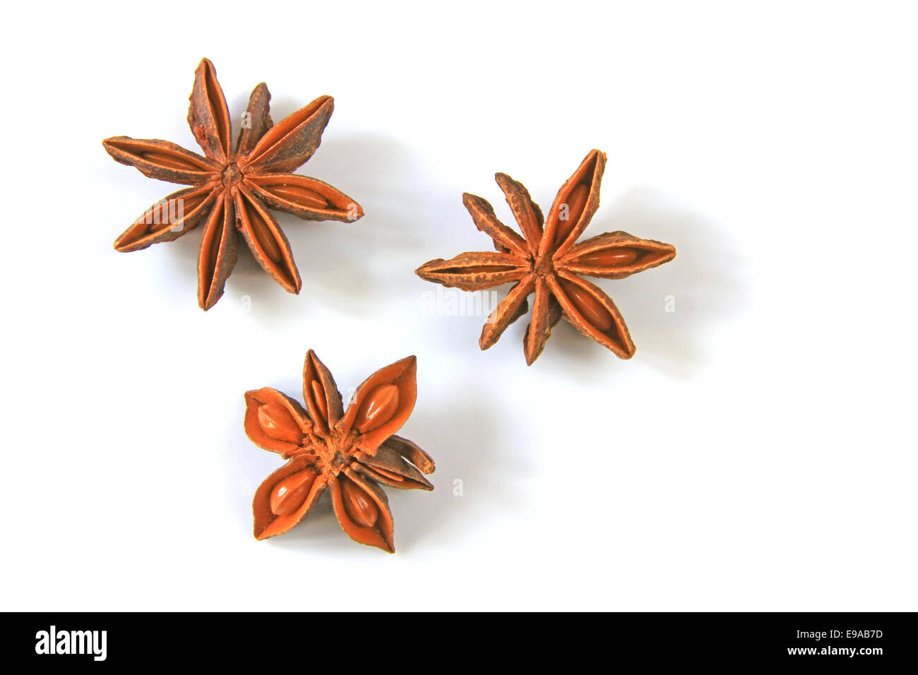 Sternanis (Illicium Verum Stockfotografie Alamy