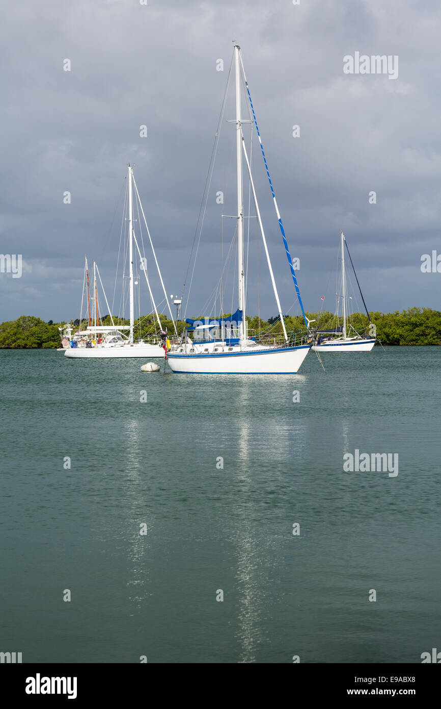 Yachten ankern in keinen Namen Hafen Florida Stockfoto