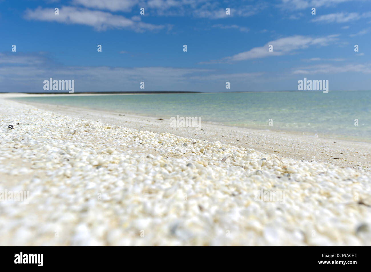 Shell Beach in Monkey Mia Stockfoto