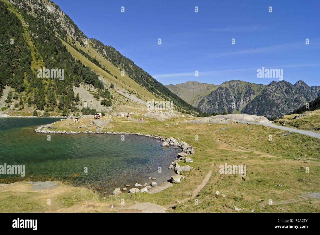Landschaft, Cauterets, Midi-Pyrenäen, Frankreich Stockfoto