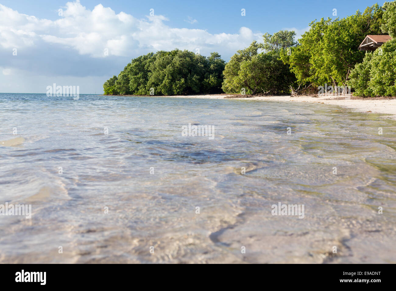 Florida Keys Annes Strand Stockfoto