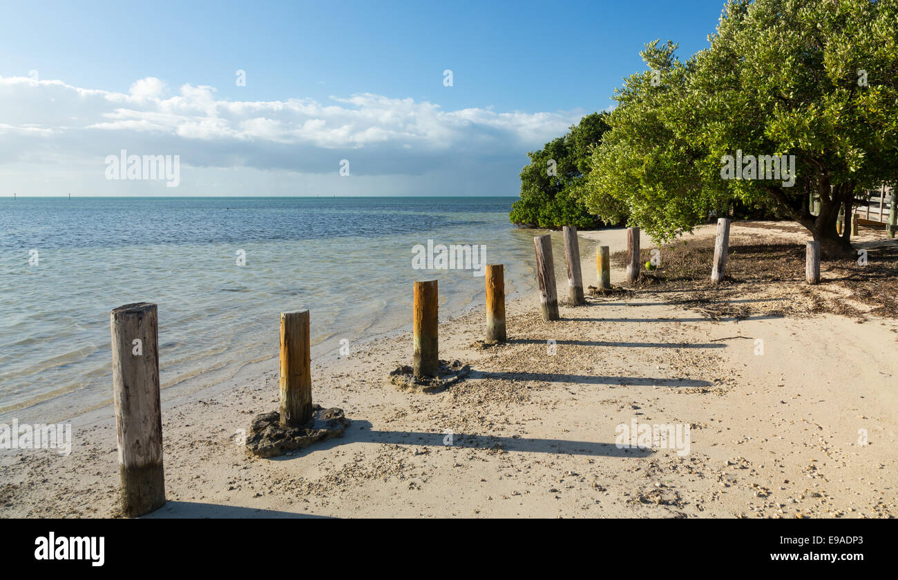 Florida Keys Annes Strand Stockfoto