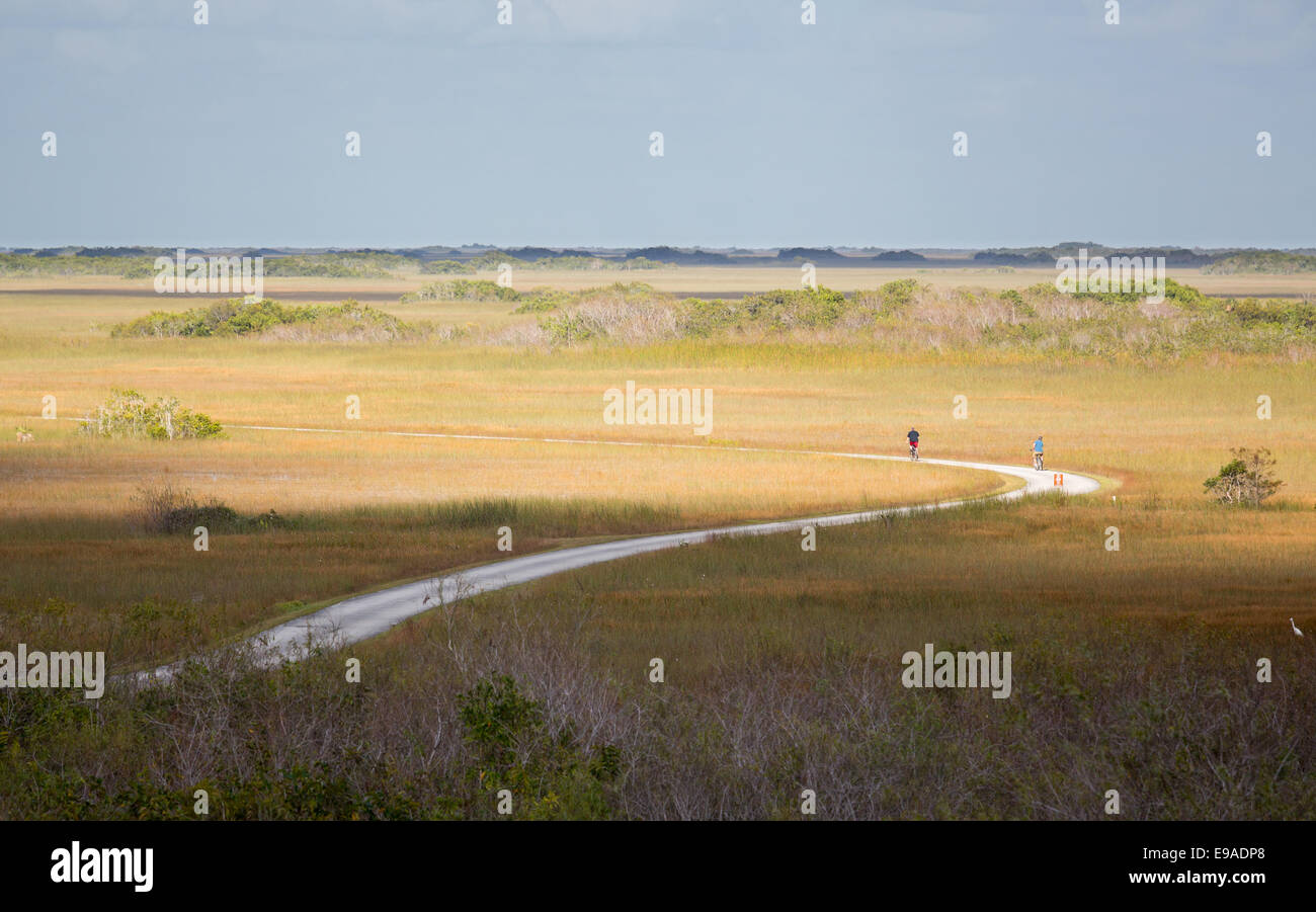 Zwei Radfahrer Reiten track im Everglades Stockfoto