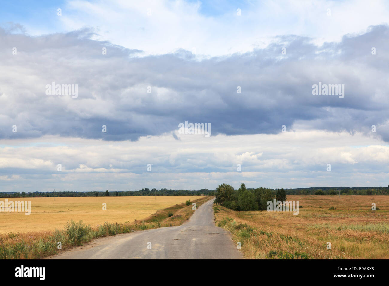 Steppe Englisch Steppe Englisch