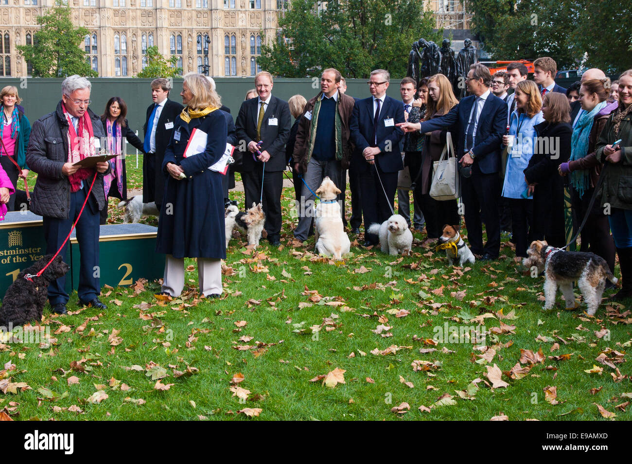 London, 23. Oktober 2014. Organisiert von den Dogs Trust und der Kennel Club, versammeln sich Politiker und ihre Pooches außerhalb des Parlaments für die 22. Westminster Dog of the Year Wettbewerb, zur Sensibilisierung der Hund wohl im Vereinigten Königreich, wo die Hunde Vertrauen mehr als 16.000 streunenden und verlassene Hunde jährlich kümmert sich um. Bild: Konkurrenten und ihre Besitzer warten auf die Gewinner von 2013 Gewinner Rt Hon Sir Alan Duncan MP, (links) und seinem Hund Noodle bekannt gegeben. Bildnachweis: Paul Davey/Alamy Live-Nachrichten Stockfoto