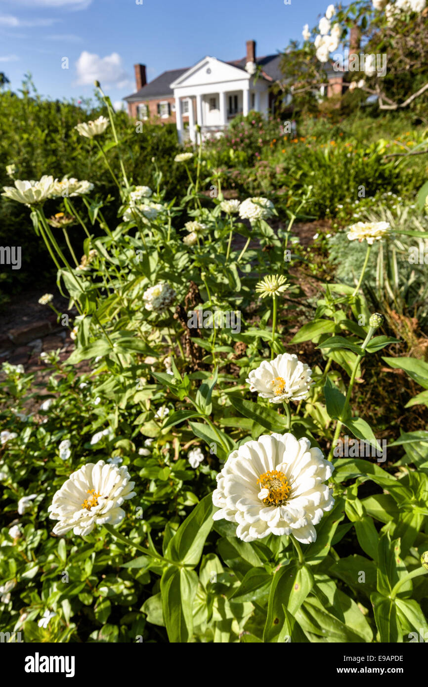 Die Colonial Revival-Plantage-Haus umgeben von englischen Gärten von Boone Hall Plantation in Mt Pleasant, South Carolina. Stockfoto