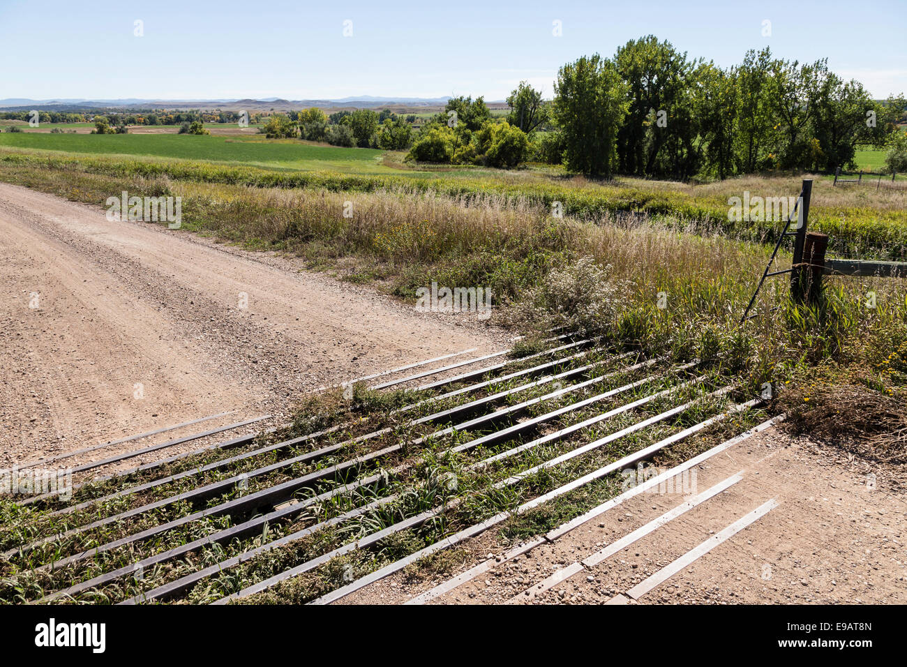 Cattle Guard, Ranch Road Tor, South Dakota, USA Stockfoto