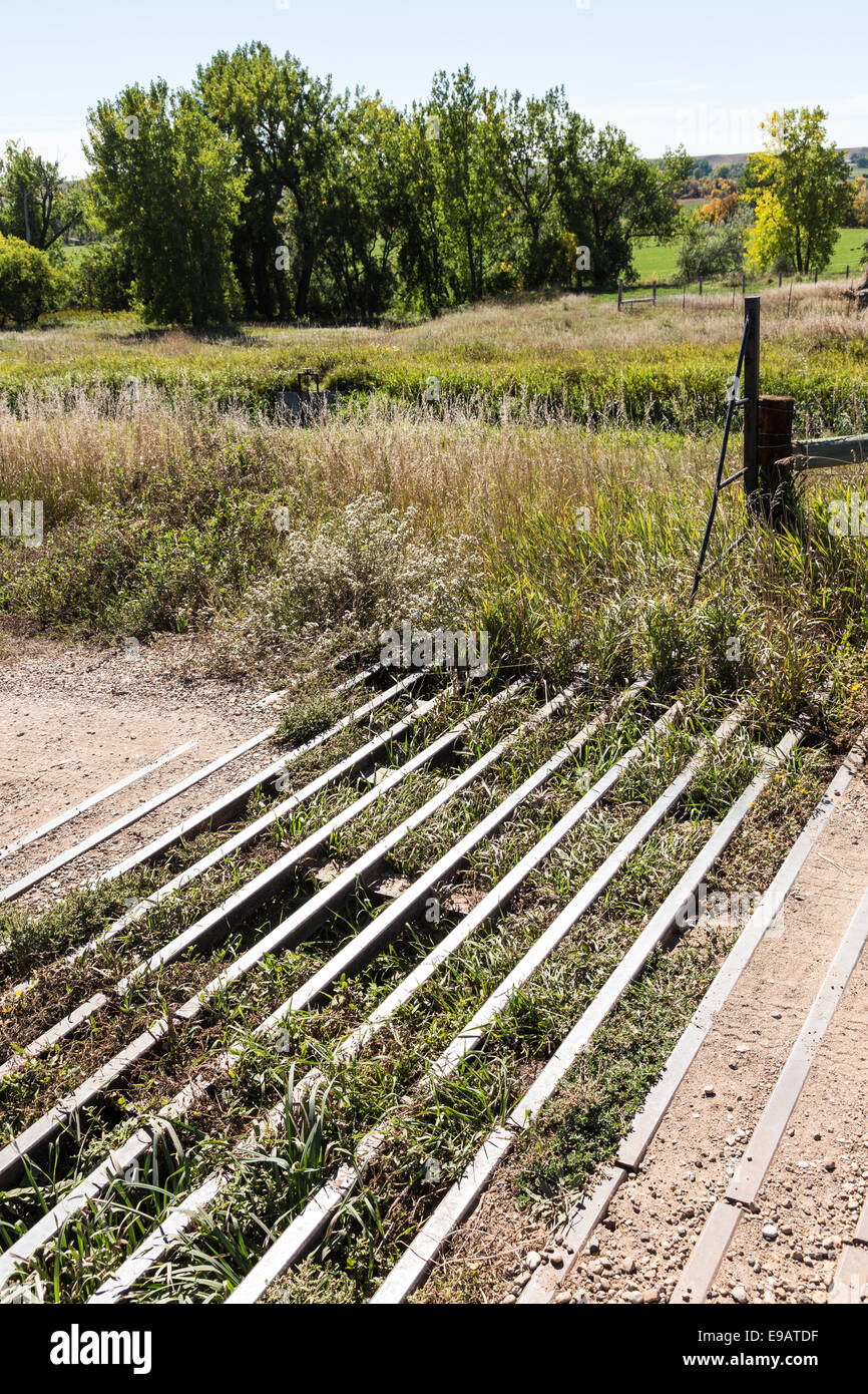 Cattle Guard, Ranch Road Tor, South Dakota, USA Stockfoto
