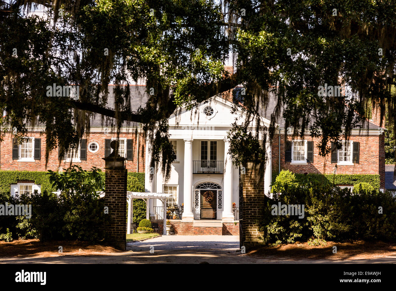 Die Colonial Revival-Plantage-Haus, umgeben von Eichen behängt mit spanischem Moos bei Boone Hall Plantation in Mt. Pleasant, South Carolina. Stockfoto