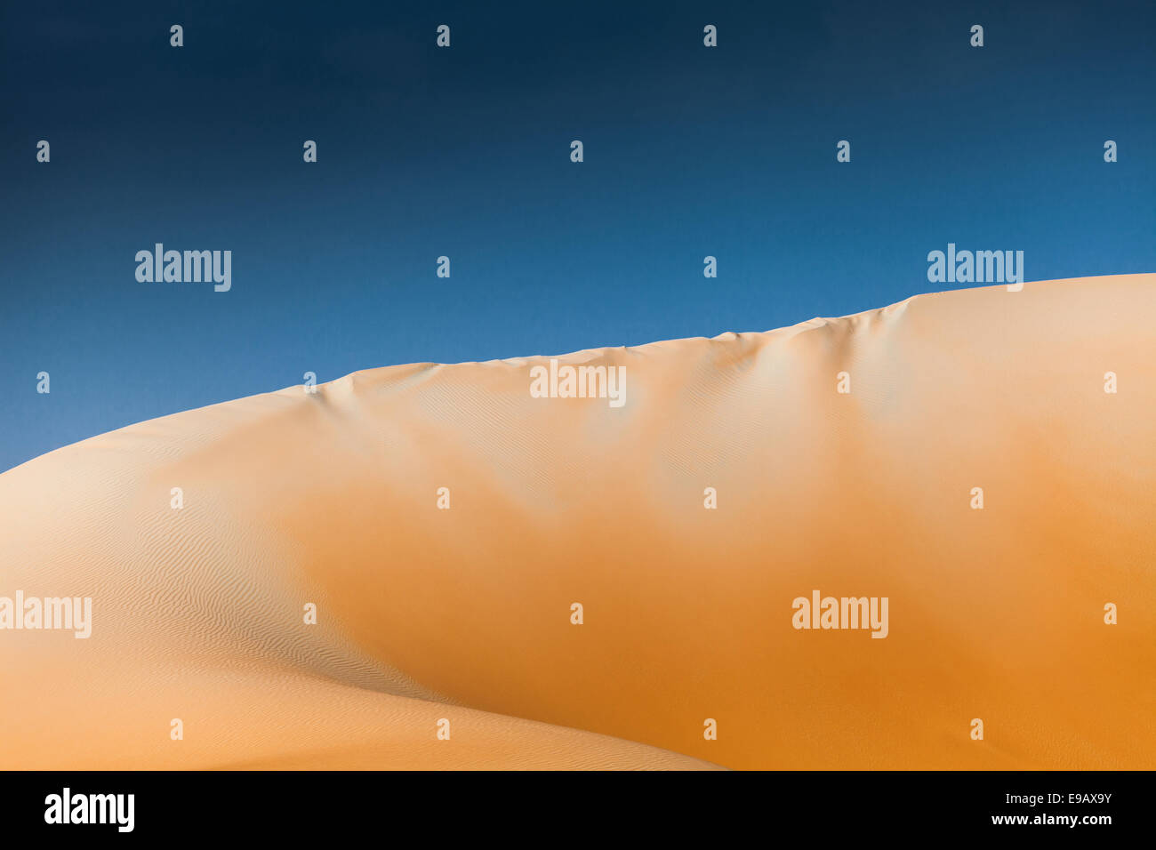 Perfekte Sand tune mit blauem Himmel (Arabische Wüste Oman) Stockfoto