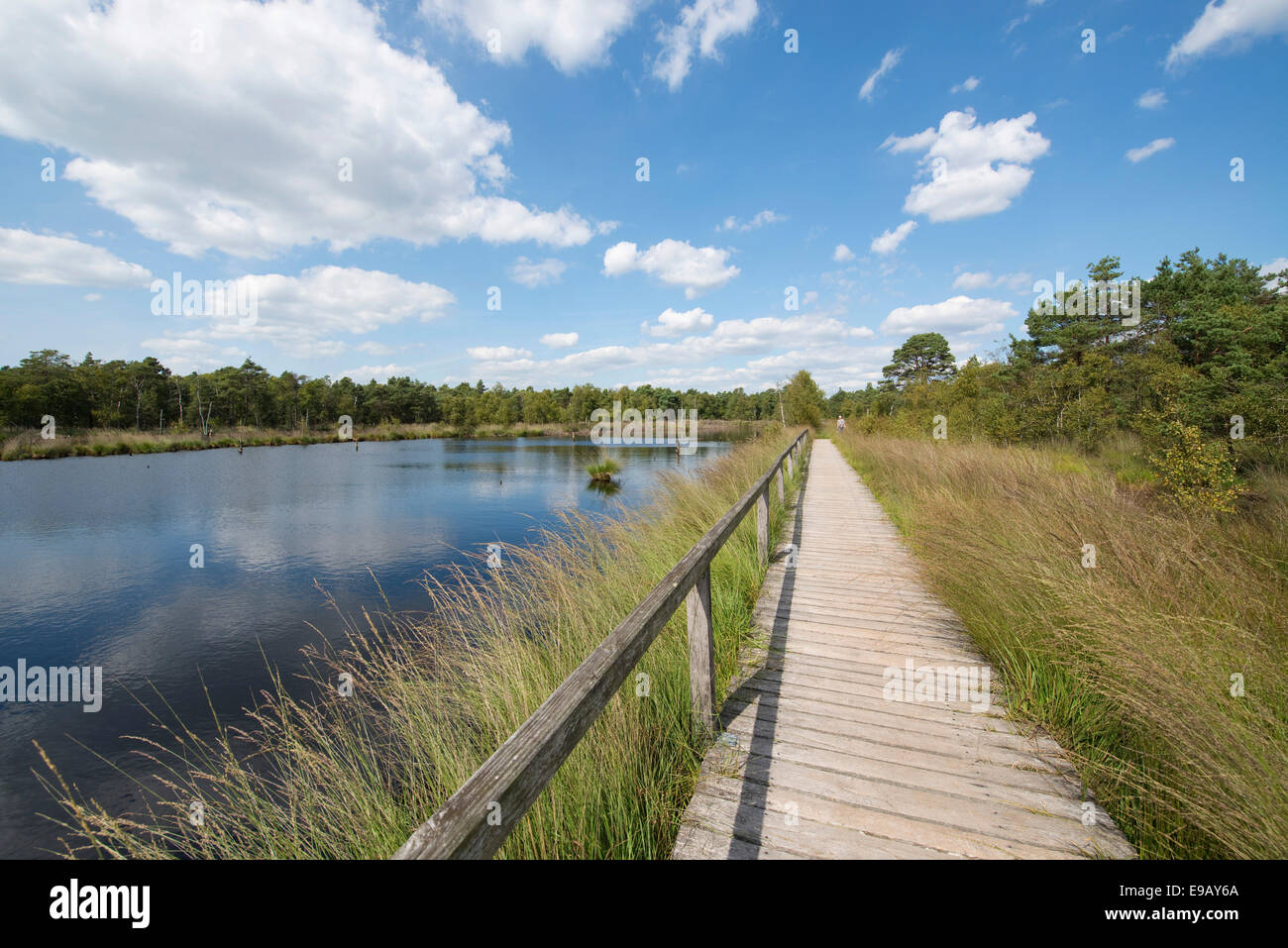 Promenade durch das Pietzmoor Moor, Naturschutzgebiet Lüneburger Heide, Schneverdingen, Niedersachsen, Deutschland Stockfoto