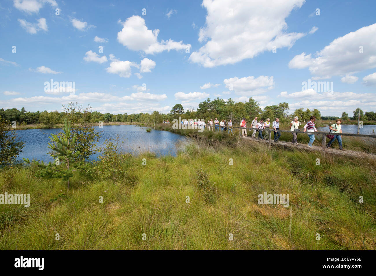 Besuchergruppe auf einem Holzsteg, Pietzmoor moor, Naturschutzgebiet Lüneburger Heide, Schneverdingen, Niedersachsen, Deutschland Stockfoto