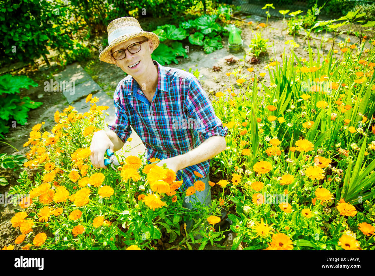 Hut mit einer blume Stockfotos und bilder Kaufen Alamy