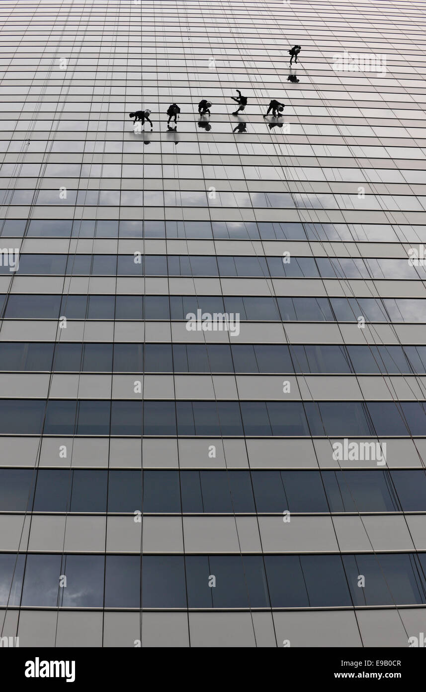 Fensterputzer Reinigung eine Glasfassade Stockfoto