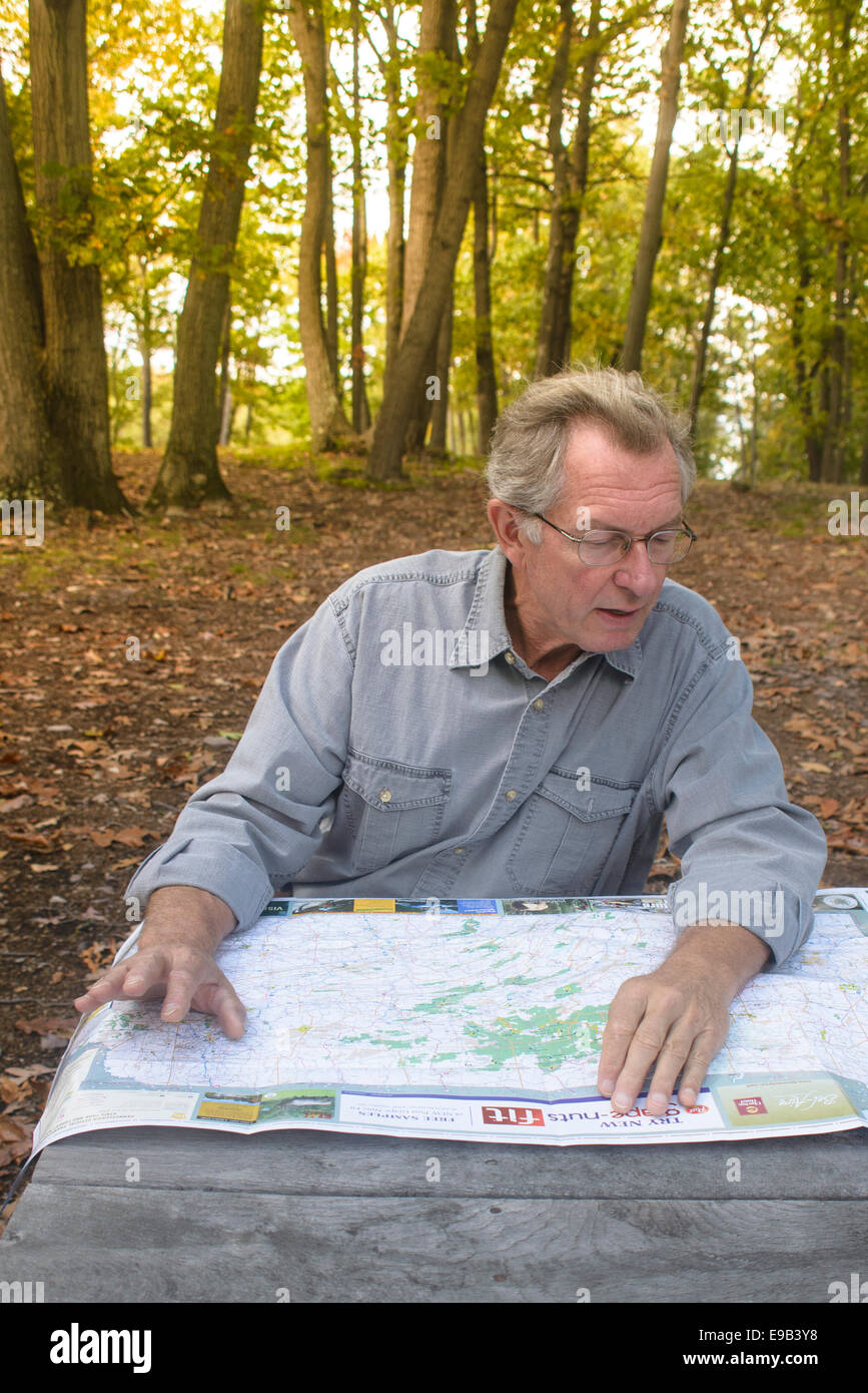 Mann liest eine Karte in eine ländliche Parklandschaft. Stockfoto