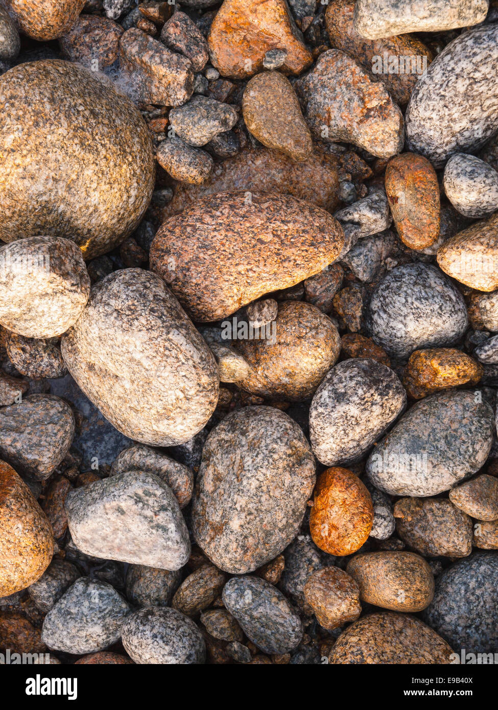 Kieselsteine Hintergrund Detail am Strand im freien Stockfoto